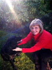 Barking Mad Derby Derbyshire Logo 