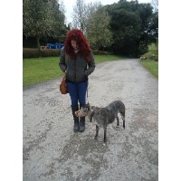 My Four Legged Friend Plymouth Devon Logo 