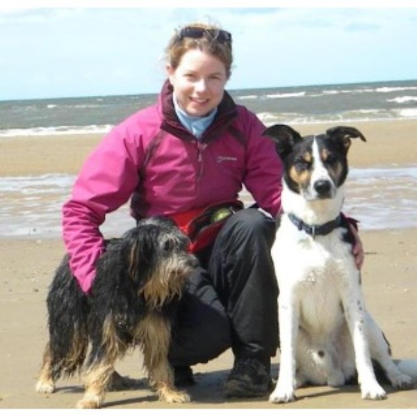 St Neots Dog Training St Neots, Cambridgeshire PE19 5DF