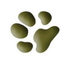 Flying Paws Dog Training Forest Row East Sussex Logo 