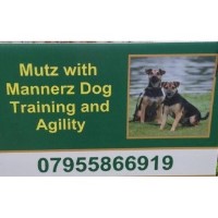 Mutz with Mannerz Dog Training and Agility Hockley Essex Logo 