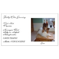 Shabby2Chic Grooming Kirkby-In-Ashfield Nottinghamshire Logo 