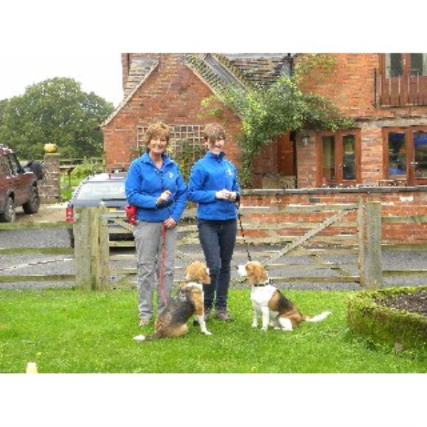 Worcester Dog Training Centre