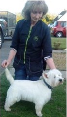 Pawfect Dog Grooming Worthing West Sussex Logo 