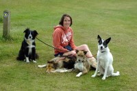 Loyalty to Dogs - Home Dog Boarding & Day Care Okehampton Devon Logo 