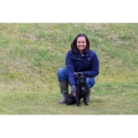 Top Dog Walking Newbury Berkshire Logo 