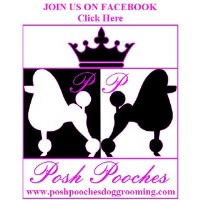 Posh Pooches Dog Grooming, Tipton.. Tipton West Midlands Logo 