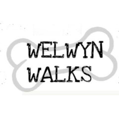 Welwyn Walks Welwyn Hertfordshire Logo 