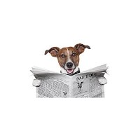 Paws At Home Pet Sitting & Dog Walker Pocklingington North Yorkshire Logo 