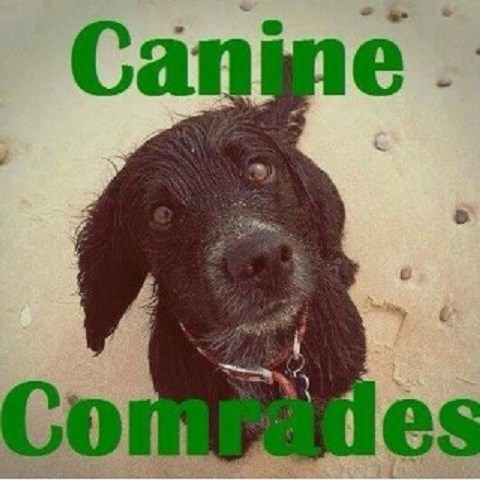Canine Comrades
