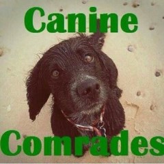 Canine Comrades Helston Cornwall Logo 