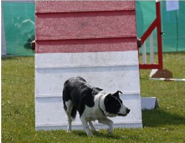 Longfield Agility Solutions