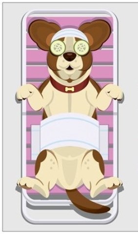 *Pawfectionists Dog Grooming*