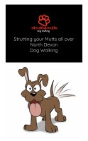 Strutts4mutts Bideford Devon Logo 
