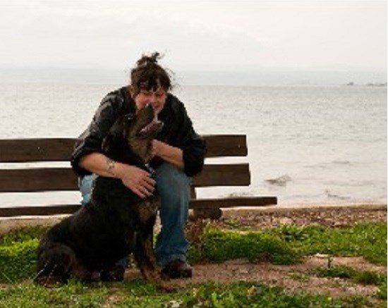 Cats 'n' Dogs Studio