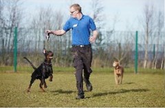 Mypetstop Pet Boarding And Care Centre Capitol Park, Wakefield West Yorkshire Logo 