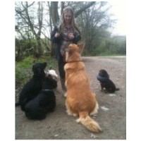 The Original Horsham Dog Walker Horsham West Sussex Logo 