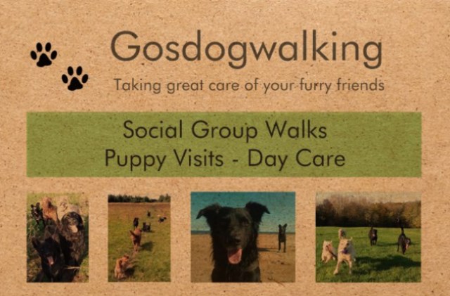 Gosdogwalking