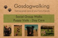 Gosdogwalking Gosforth / Newcastle Upon Tyne Tyne and Wear Logo 