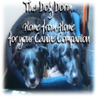 The Dog Dorm Cardinham, Bodmin Cornwall Logo 