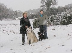 Natasha And Emma Pet Services Truro Cornwall Logo 