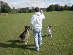 Canine Companion Chesterfield Chesterfield Derbyshire Logo 