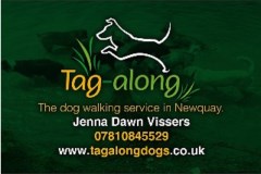 Tag Along Newquay Cornwall Logo 