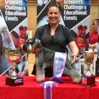 Curracloe Ealing Greater London Logo 