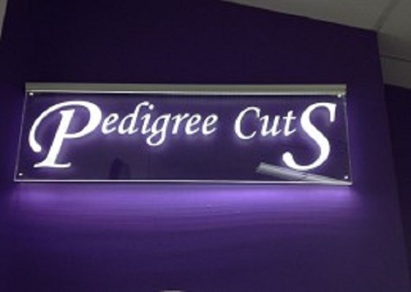 Pedigree Cuts Dog Grooming