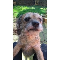 Handstripping Tuition Glossop Derbyshire Logo 