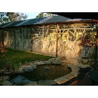 Tip-Top Cattery and Kennels Pedwell Somerset Logo 