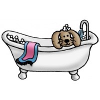 Helens Dog Grooming Service Broadstairs Kent Logo 