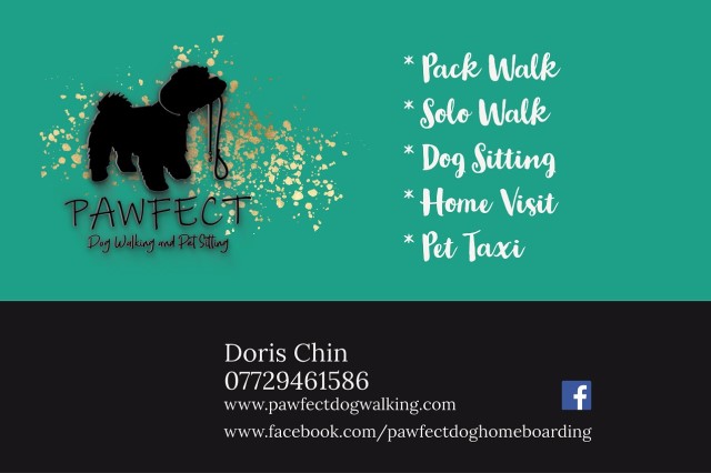 Pawfect Dog Walking & Pet Sitting