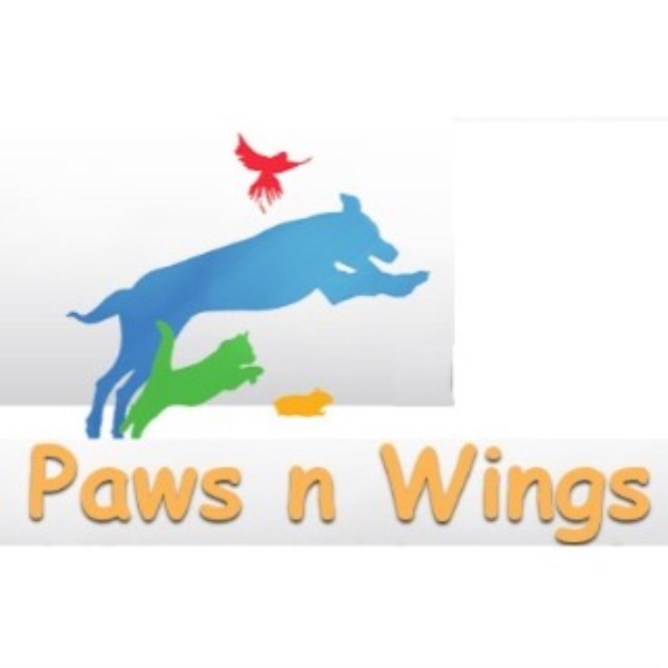 Paws n Wings