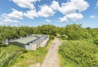 Bogmoor Kennels Holsworthy Devon Logo 