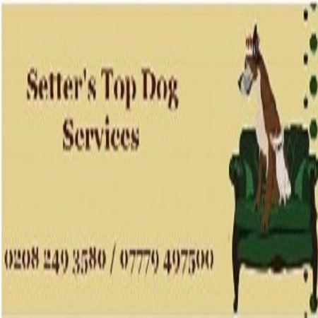 Setter's Top Dog Services