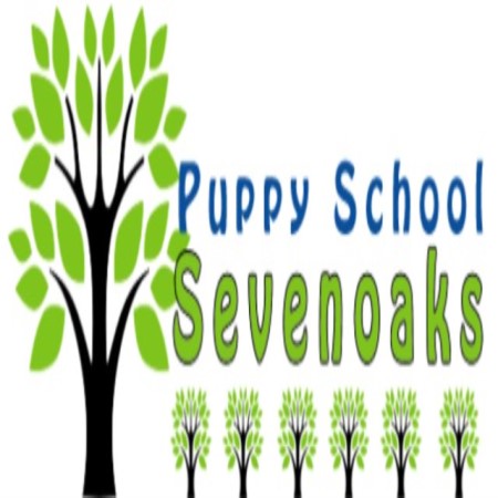 Puppy School Sevenoaks