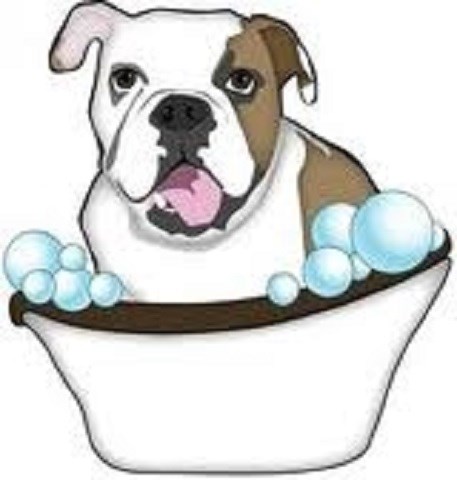 Auntie Rachel's Dog Grooming