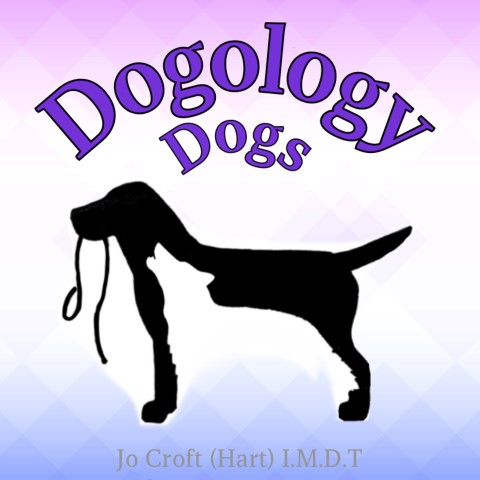 Dogology Dogs