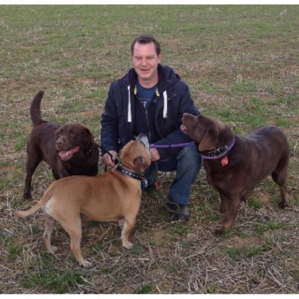 Paws 'N' Claws Dog Walking & Pet Services