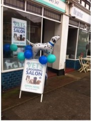 Birchington Veterinary Centre, Cattery & Grooming Salon Birchington Kent Logo 