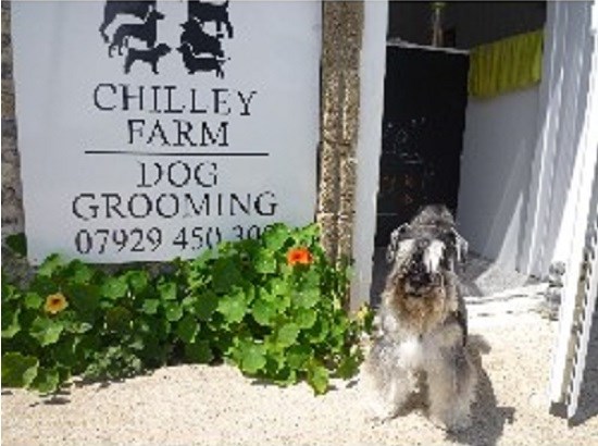 Chilley Farm Dog Grooming