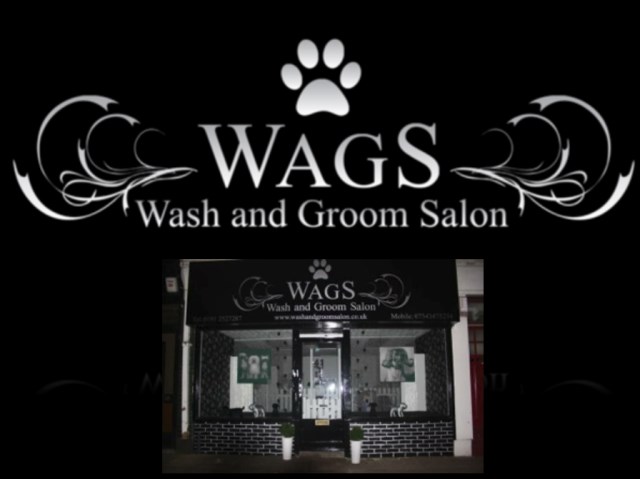 Wags (Wash And Groom Salon)