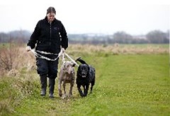 Mypetstop Pet Boarding And Care Centre Washington Tyne and Wear Logo 