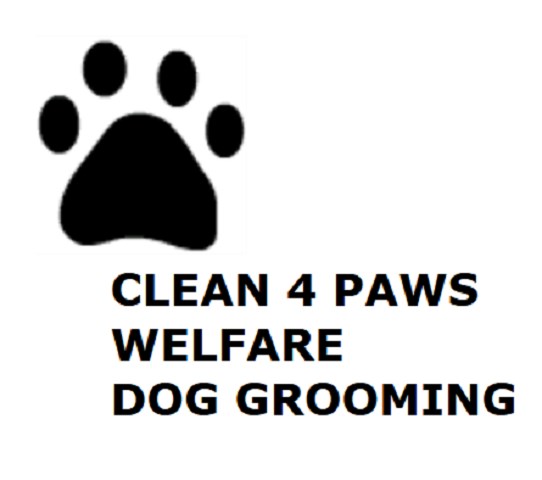 Clean4paws(Dog Grooming)