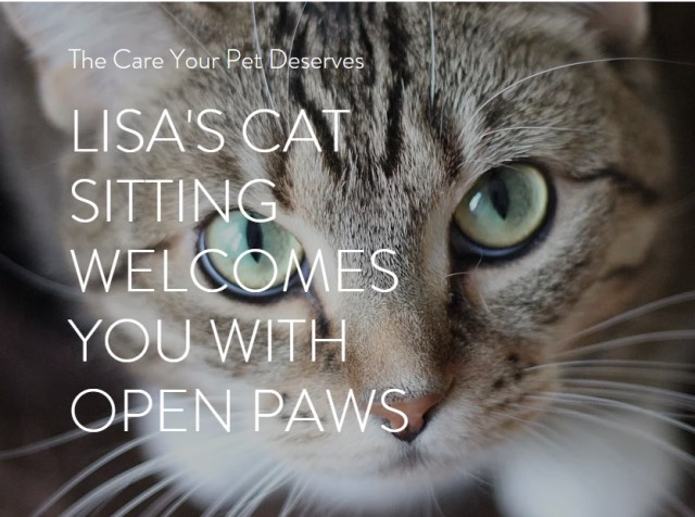 Lisa's Cat Sitting