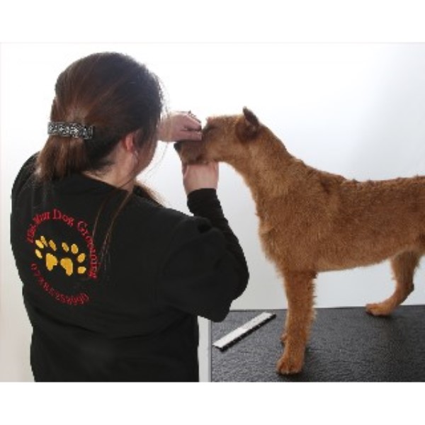 Ulti-Mutt Dog Grooming