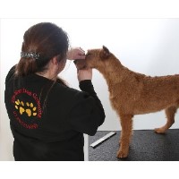 Ulti-Mutt Dog Grooming Calne Wiltshire Logo 