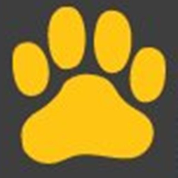 Debs all roung pet sitting and dog walking