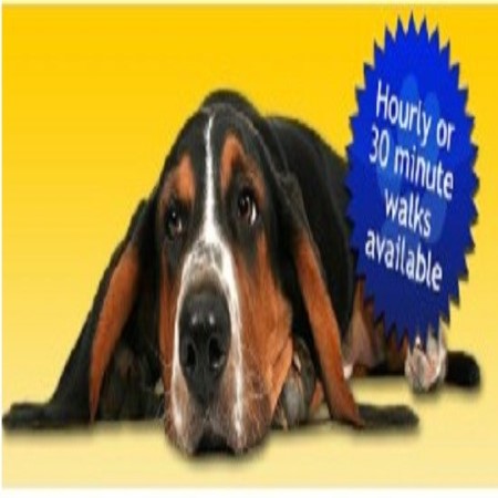 Hawkes Walks Limited